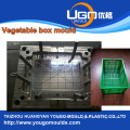 OEM / ODM CUSTOM PLASTIC INJECTION HOUSEHOLD MOLD